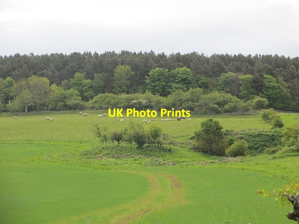 Photo 6"x4" Quarry, Warenton Belford\/NU1033 c2014