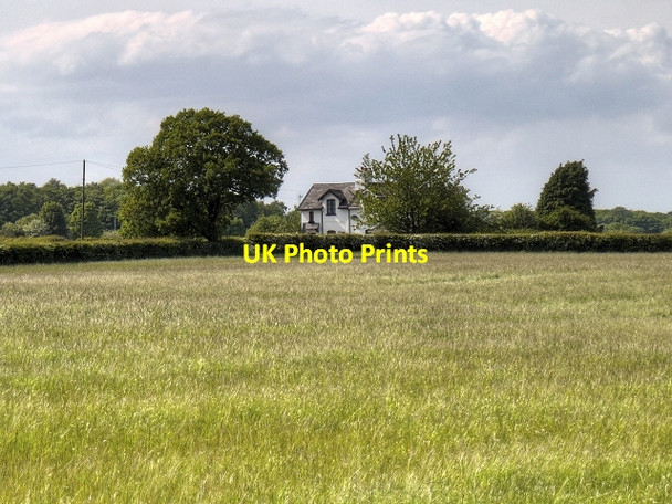 Photo 6"x4" View Towards Caleb's Wood Billinge c2014