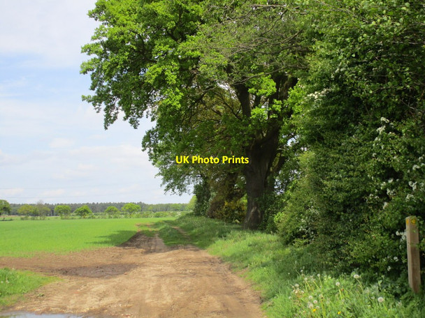 Photo 6"x4" Farm track near Warren House Thornton\/SE7545 c2014