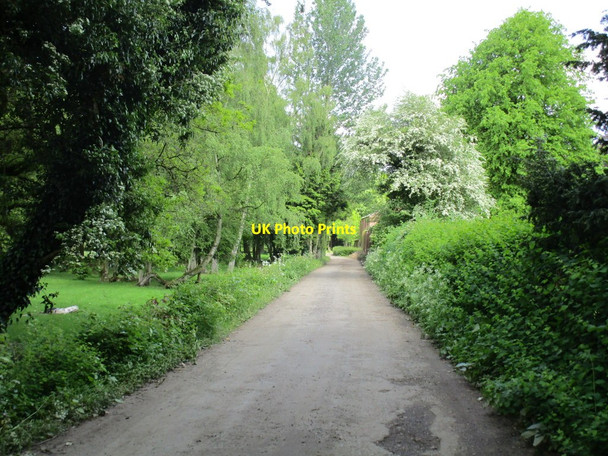 Photo 6"x4" Lane at Waplington Allerthorpe c2014