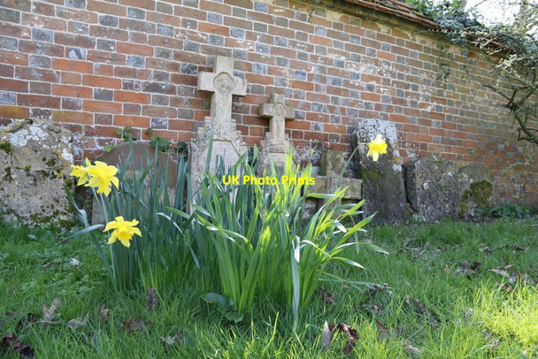 Photo 6"x4" Daffodils near the Wall Chilton\/SU4885 c2014
