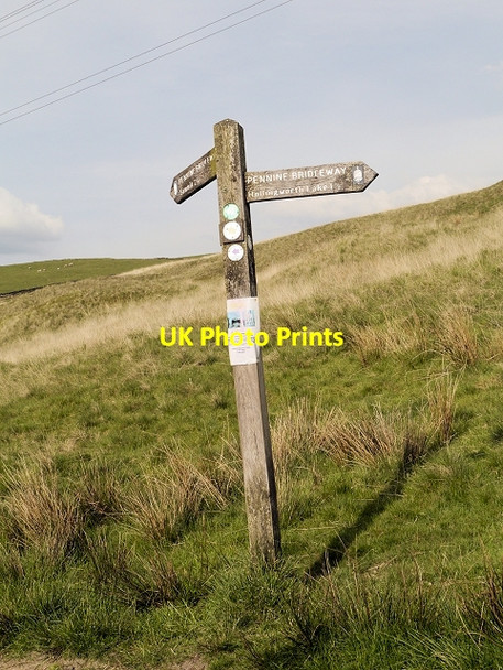 Photo 6"x4" Whittaker Moor, Pennine Bridleway Signpost Littleborough\/SD9316 c2014