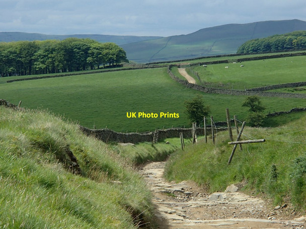 Photo 6"x4" On the Pennine Bridleway track Perryfoot c2014