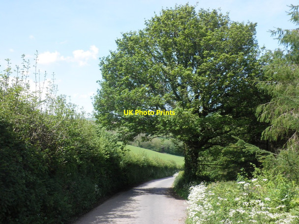 Photo 6"x4" Minor road to Luxborough Kingsbridge\/SS9837 c2014