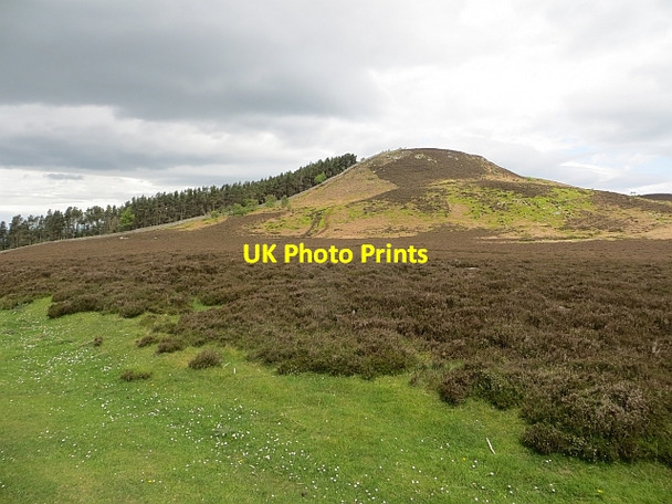 Photo 6"x4" Ros Castle Chillingham c2014