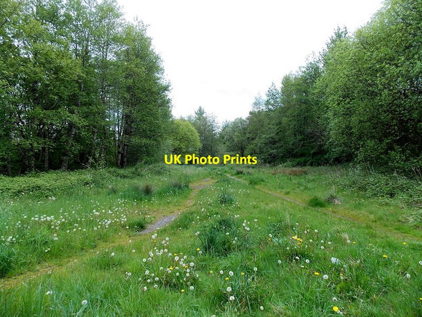 Photo 6"x4" Track junction in Carmeltown Brynmawr\/SO1811 c2014
