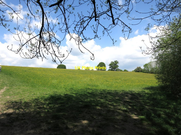 Photo 6"x4" Between Southborough and Bidborough Stockland Green\/TQ5642 c2014