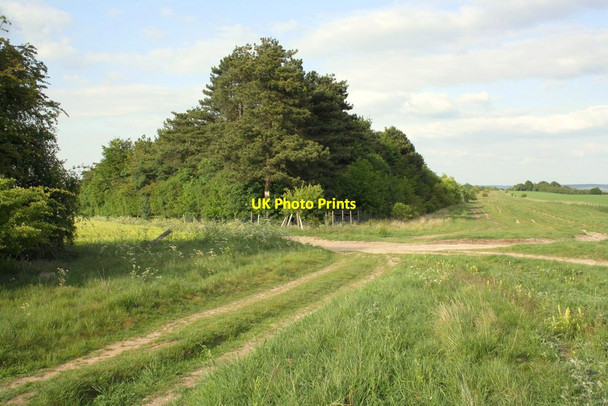 Photo 6"x4" Track junction on The Fair Way Aston Tirrold c2011