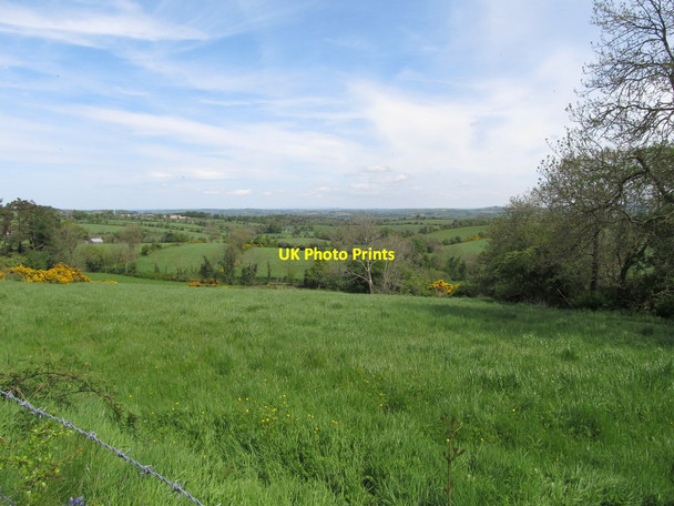 Photo 6"x4" Drumlim farmland between Levins Road and Carrickgallogly Road Belleek\/H9827 c2014