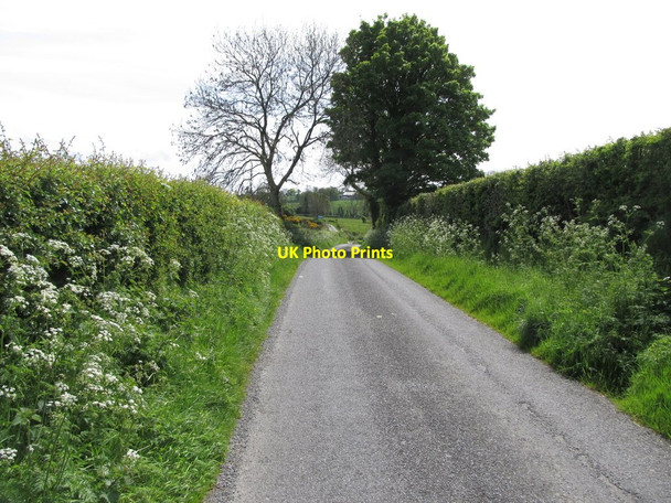 Photo 6"x4" View SSE along Carrickgallogly Road Belleek\/H9827 c2014