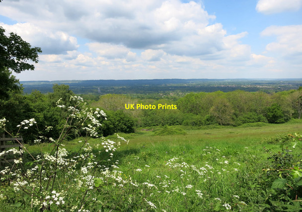 Photo 6"x4" The Medway Valley Bidborough c2014