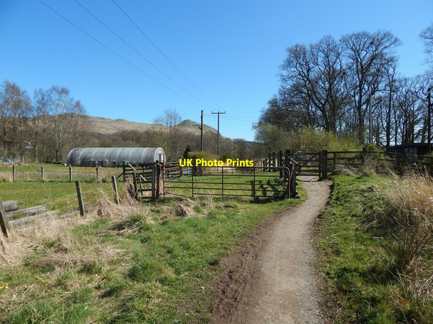 Photo 6"x4" West Highland Way near Woodside House Dumgoyne\/NS5283 c2014