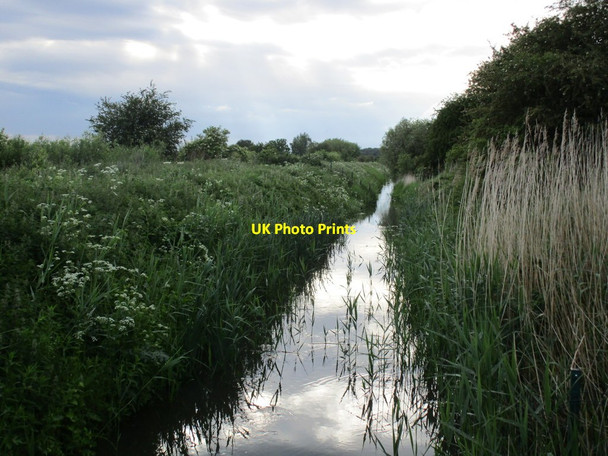 Photo 6"x4" Mother Drain Bessacarr c2014