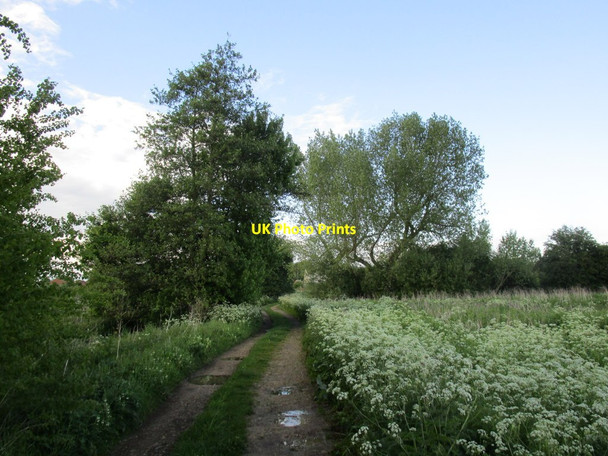 Photo 6"x4" Bridleway to Bessacarr Bessacarr c2014