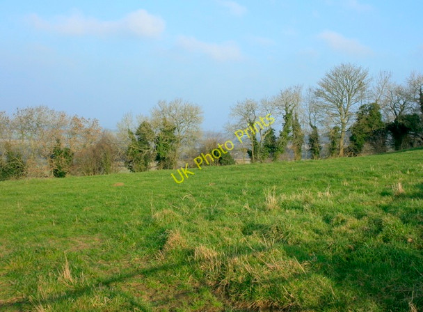 Photo 6"x4" 2008 : Pasture on Hinton Hill Hinton\/ST7376 c2008