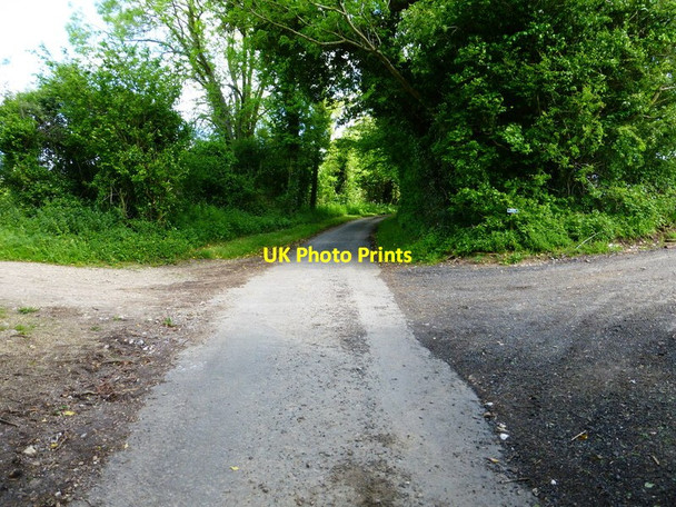 Photo 6"x4" Looking north on lane from Ridlington with crossing farm track East End\/SU6424 c2014