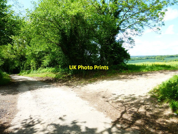 Photo 6"x4" Looking south on lane to Ridlington with crossing farm track East End\/SU6424 c2014