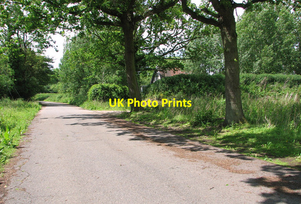 Photo 6"x4" Path to Potash Lane Penny's Green c2014