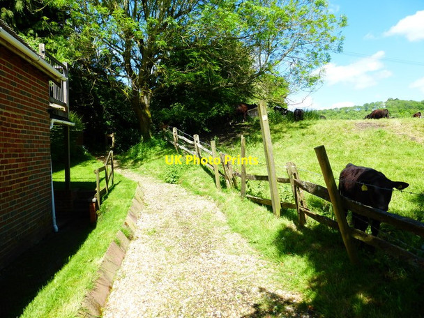 Photo 6"x4" Start of bridleway going northwards to Lower Bordean Farm East Meon c2014
