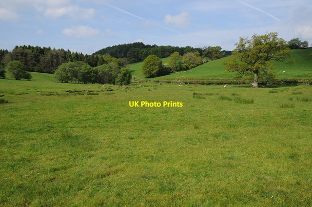 Photo 6"x4" Farmland south of Llandovery Myrtle Hill\/SN7630 c2014