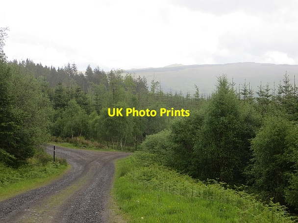 Photo 6"x4" Logging roads near Druimdarroch Ardchonnell c2014