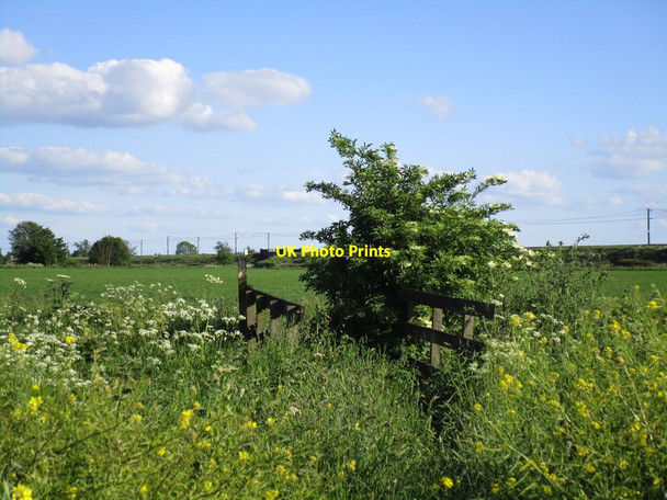 Photo 6"x4" Bridleway to Sand Lane (obstacle 2) Hougham c2014