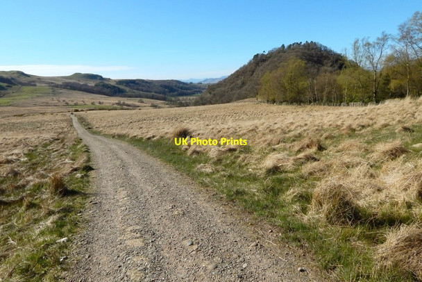 Photo 6"x4" West Highland Way near Dumgoyach Blanefield\/NS5579 c2014
