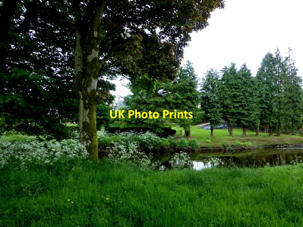 Photo 6"x4" Camowen River at Cranny Omagh c2014