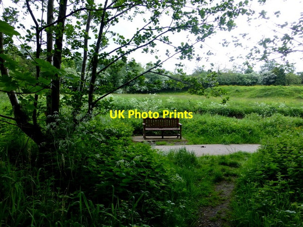 Photo 6"x4" Seat, Cranny Omagh c2014