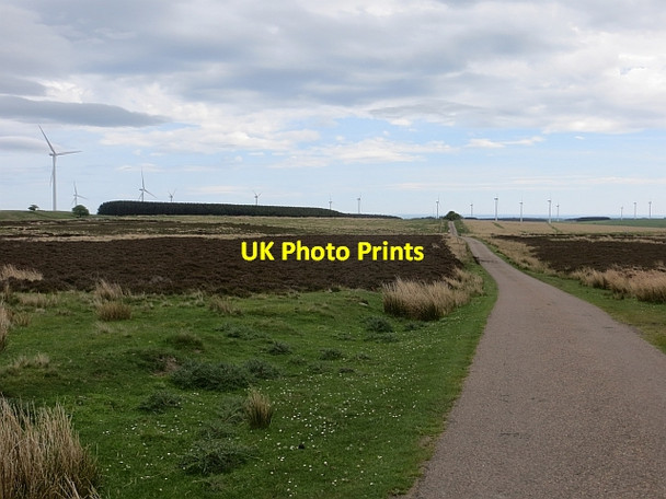 Photo 6"x4" Quarryhouse Moor Foumart Knowe c2014