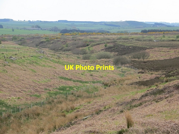 Photo 6"x4" Cragcleugh Burn Cateran Hill c2014