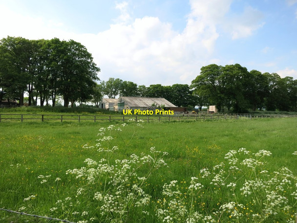 Photo 6"x4" Field and Barns at Powder Mills Tonbridge c2014