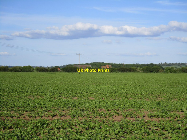 Photo 6"x4" View towards Glebe Farm Hougham c2014