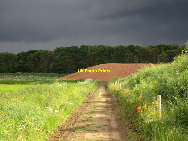Photo 6"x4" Diverted bridleway and new spoil heaps New Rossington c2014