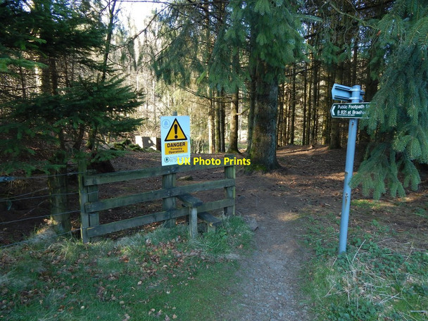 Photo 6"x4" Start of a path through the Squirrel Wood Blanefield\/NS5579 c2014