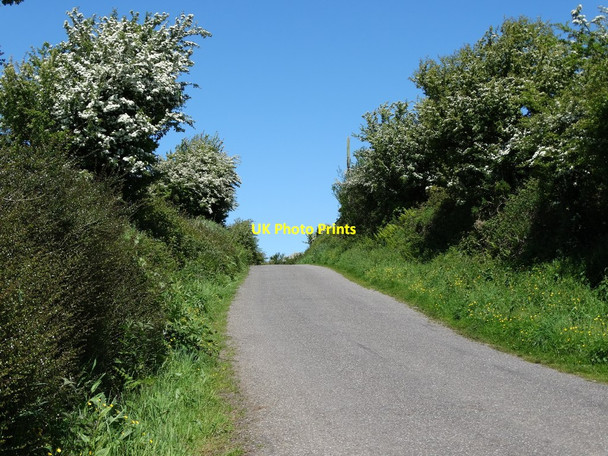 Photo 6"x4" Country road in County Cork Ballygarvan c2014