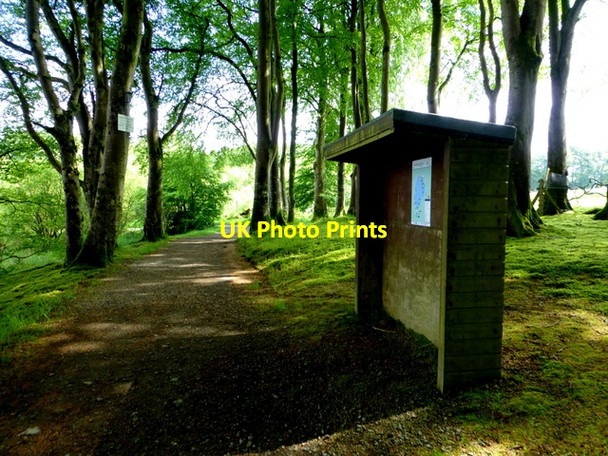 Photo 6"x4" Shelter, Loughmacrory Milltown\/H5775 c2014