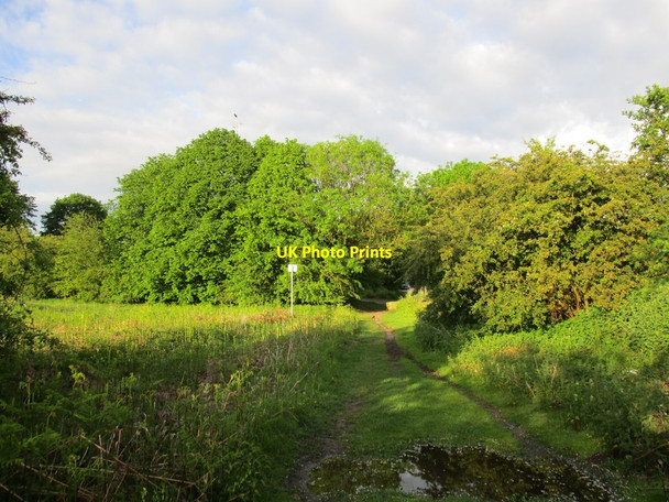 Photo 6"x4" Bessacarr Lane Bessacarr c2014