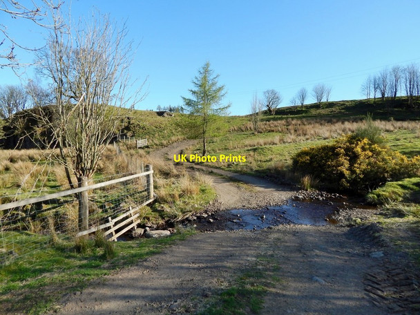 Photo 6"x4" Track to Moor Road Blanefield\/NS5579 c2014