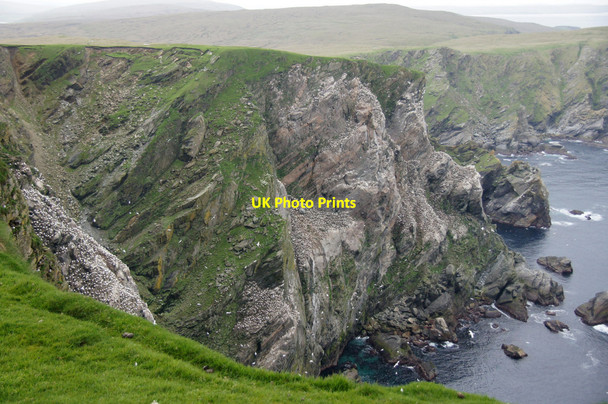 Photo 6"x4" Saito from the Neap, Hermaness Burrafirth c2014