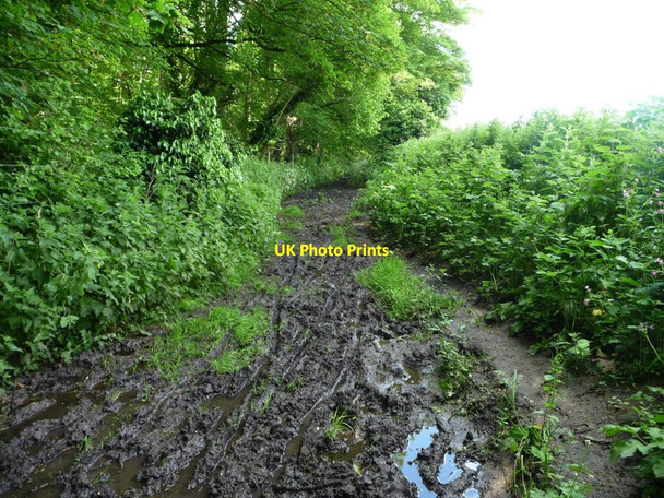 Photo 6"x4" Russell Mill & Strawberry Hill Walk [16] Fiddington Sands c2014