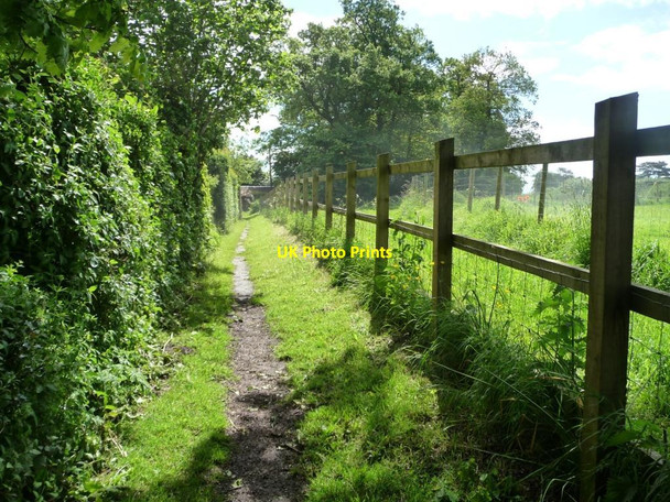 Photo 6"x4" Russell Mill & Strawberry Hill Walk [23] Little Cheverell c2014
