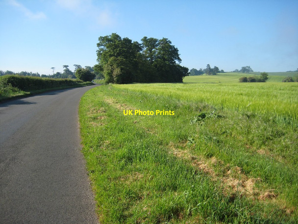 Photo 6"x4" Road to Kinnersley Birch Green\/SO8545 c2014
