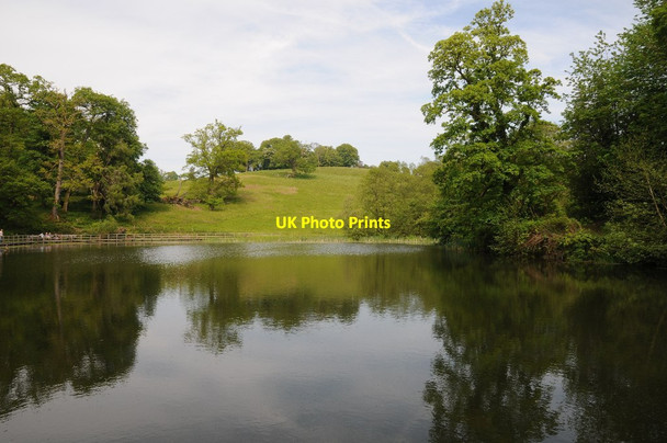 Photo 6"x4" Lake in Dinefwr Park Cilsan c2014