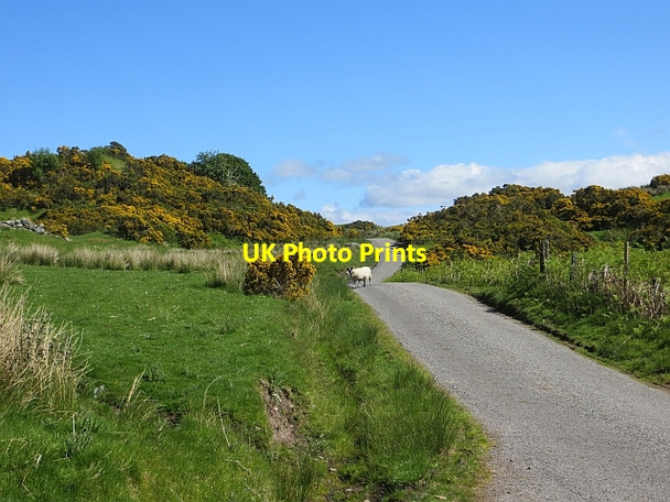 Photo 6"x4" Minor road near Killiechoinich Barran\/NM8825 c2014