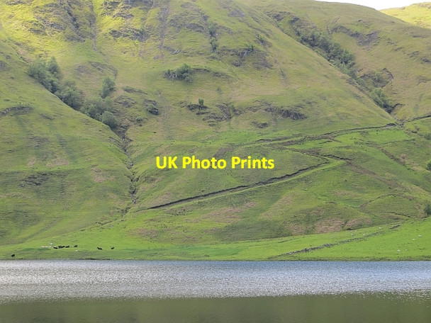 Photo 6"x4" Bulldozed road, Loch Scammadale Eas Ruadh\/NM8921 c2014
