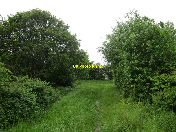 Photo 6"x4" Bend in the path Rothwell\/SE3428 c2014