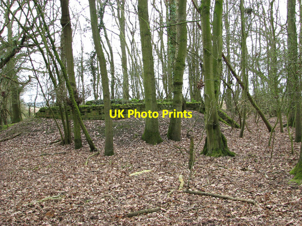 Photo 6"x4" RAF Thorpe Abbotts, Site 4 Upper Street\/TM1780 c2011 P1