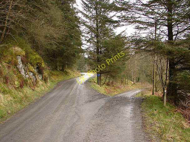 Photo 6"x4" Forestry roads near Nanty Farm Llanifyny c2008