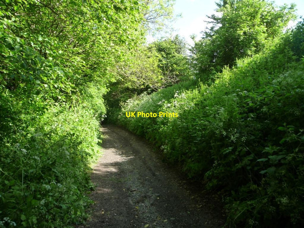 Photo 6"x4" The byway to Easterton Common Eastcott\/SU0255 c2014